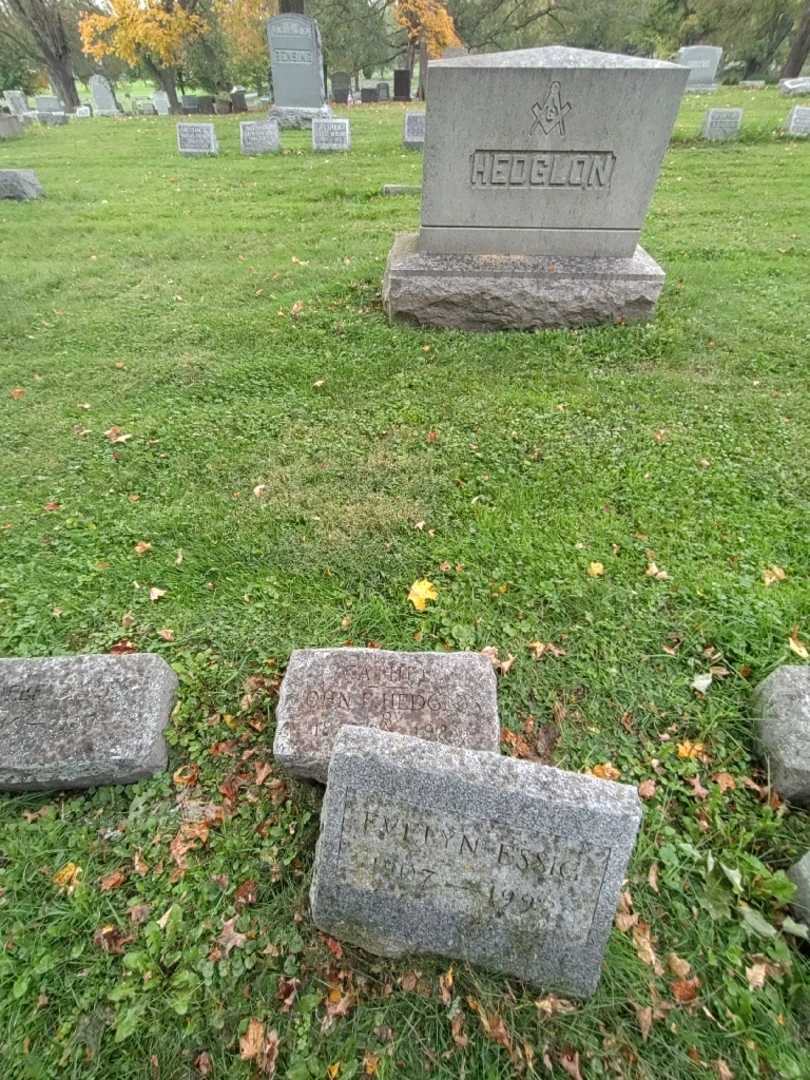 John E. Hedglon's grave. Photo 1