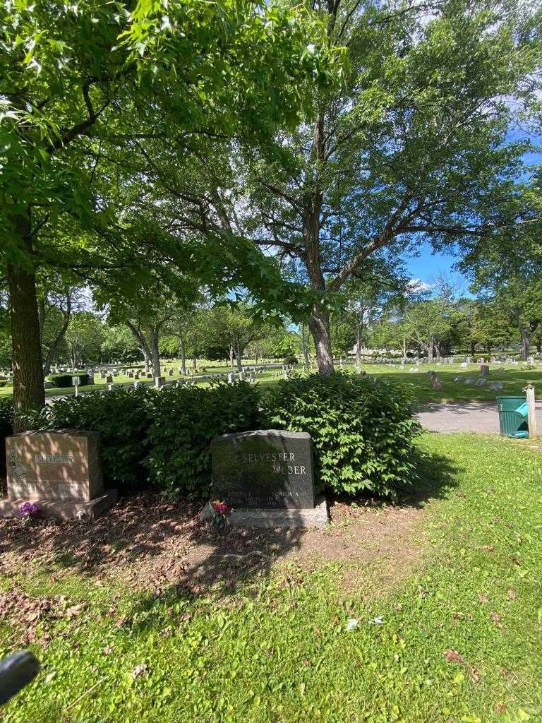 Joseph F. Selvester Weber's grave. Photo 1