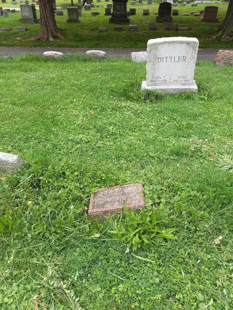Doris V. Metzger's grave. Photo 3
