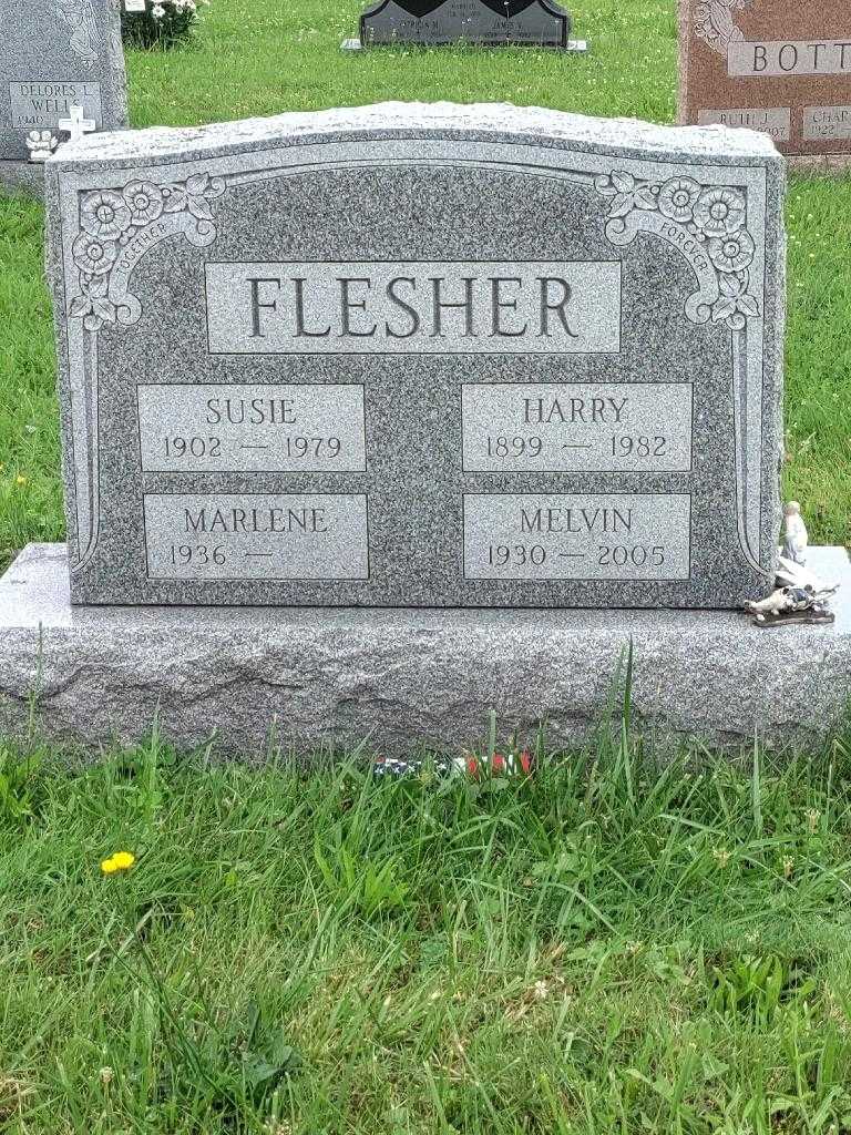 Harry Flesher's grave. Photo 1
