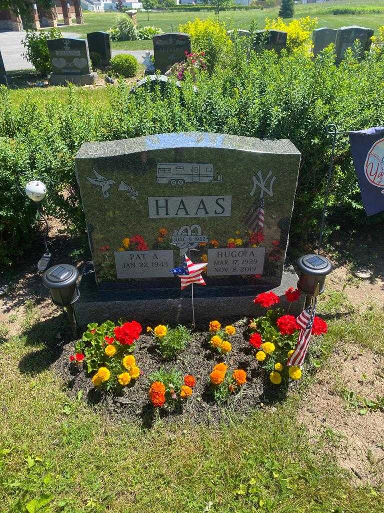 Hugo A. Haas's grave. Photo 2