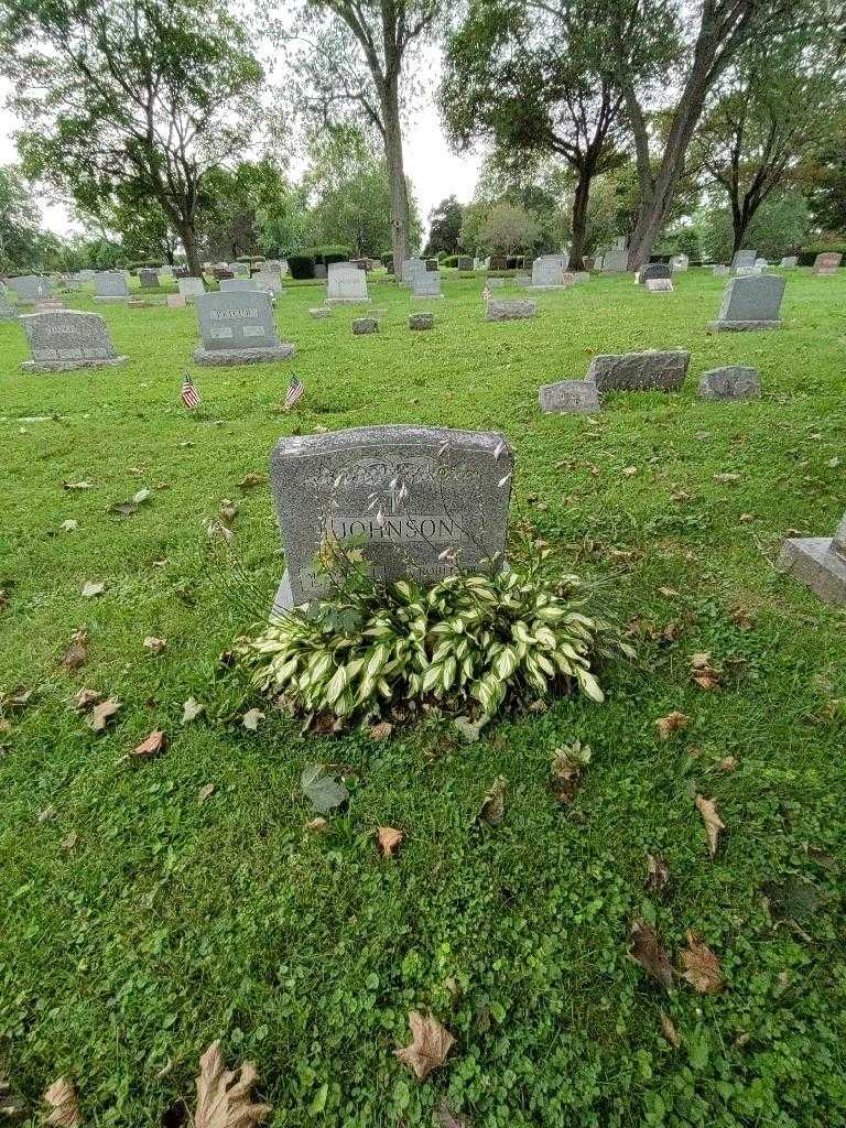 Robert W. Johnson's grave. Photo 2