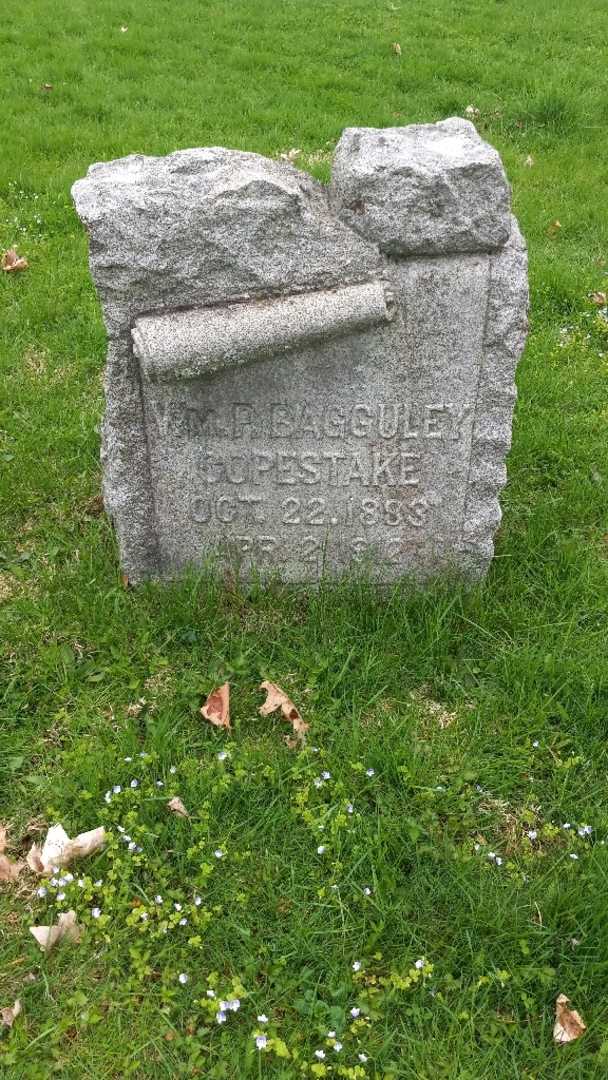 William P. "Wm." Bagguley Copestake's grave. Photo 3