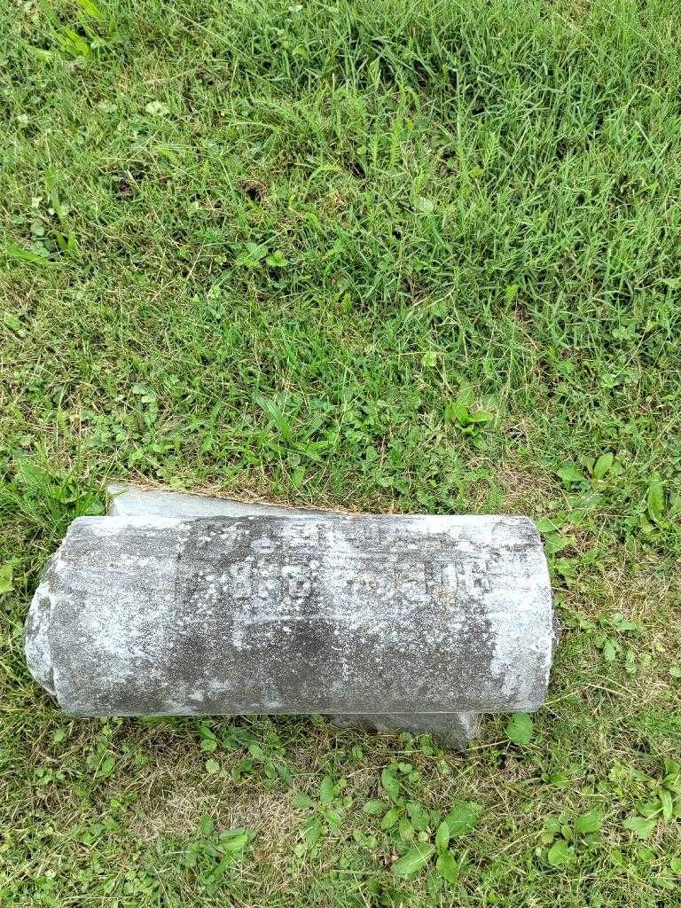 Peter Daley's grave. Photo 2