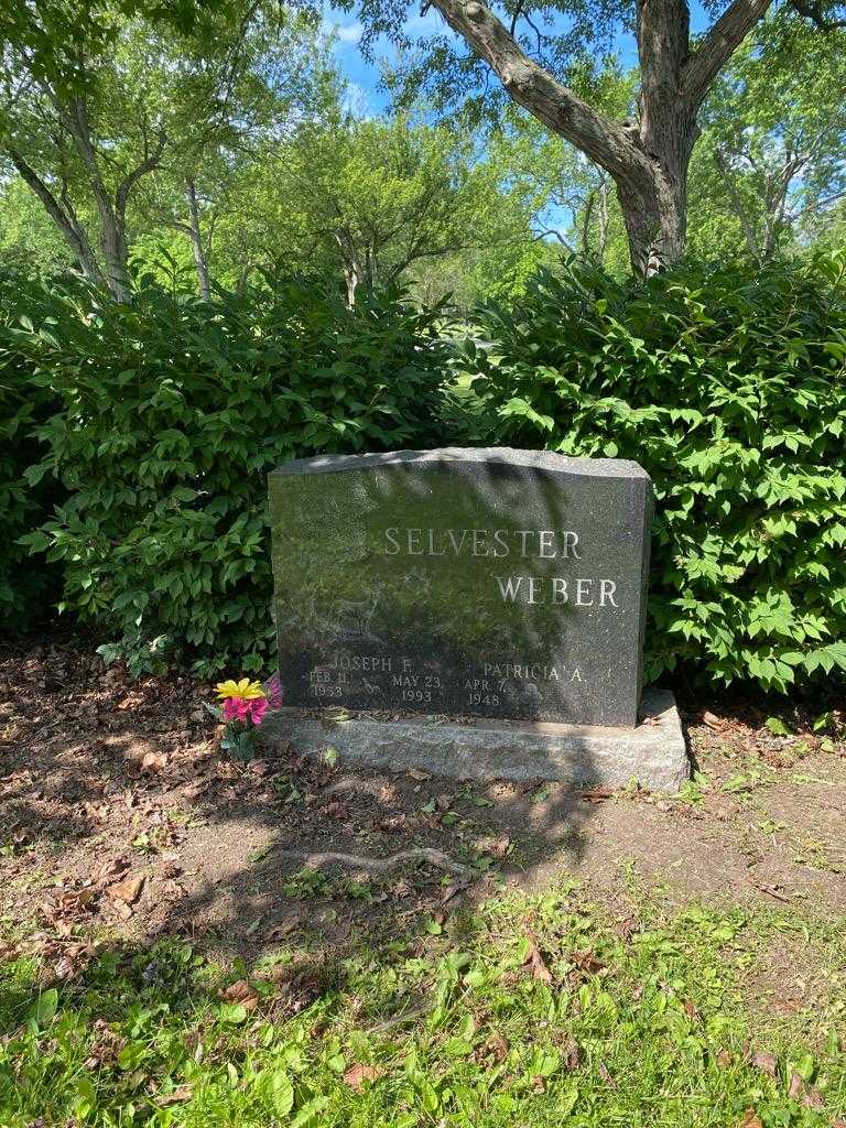 Joseph F. Selvester Weber's grave. Photo 2