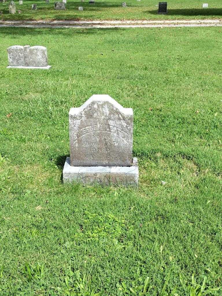 Emerson Eaton's grave. Photo 2