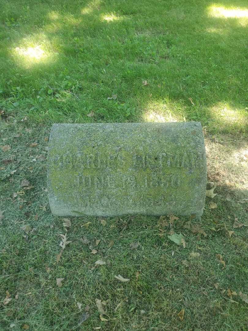 Charles Listman's grave. Photo 2