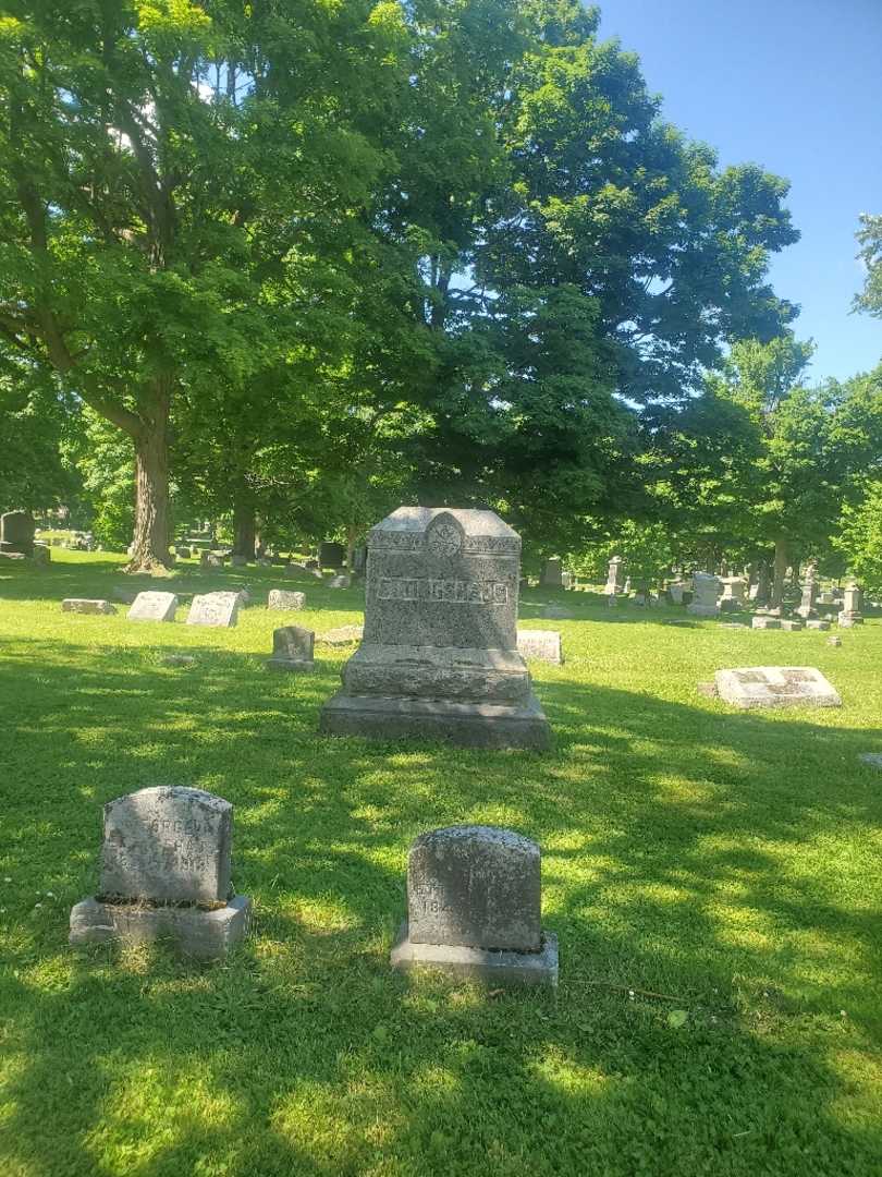 Lucinda Ettingshaus's grave. Photo 2