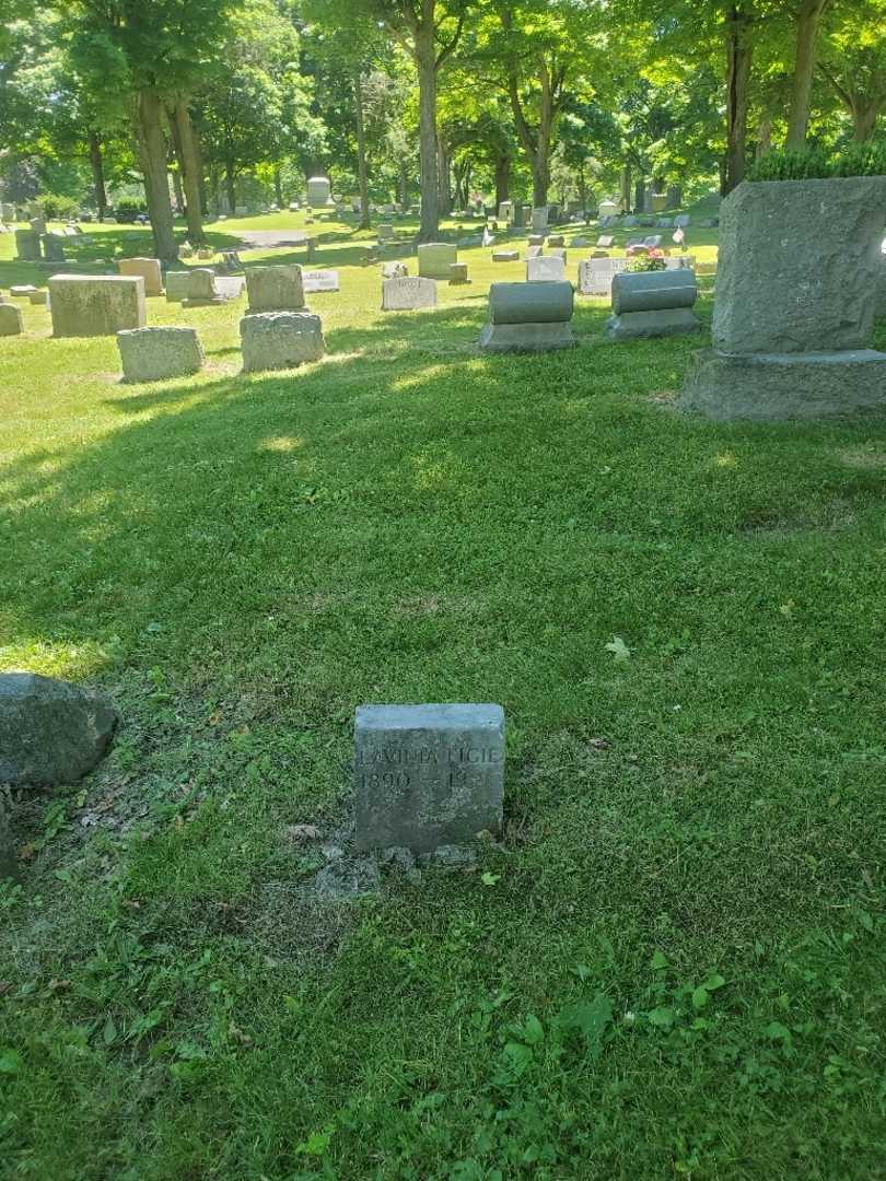 Lavinia Figie's grave. Photo 1