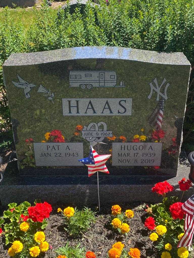 Hugo A. Haas's grave. Photo 3