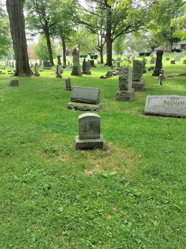 Wilford E. Shoudy's grave. Photo 1