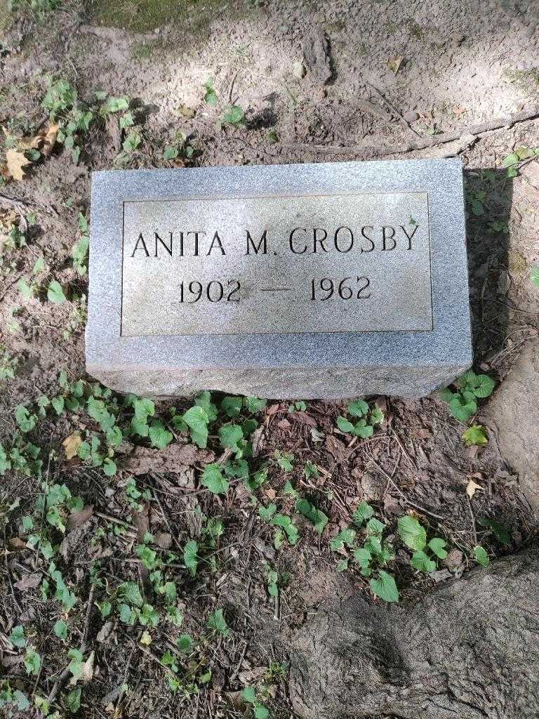 Anita M. Crosby's grave. Photo 2