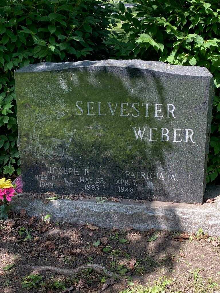 Joseph F. Selvester Weber's grave. Photo 3