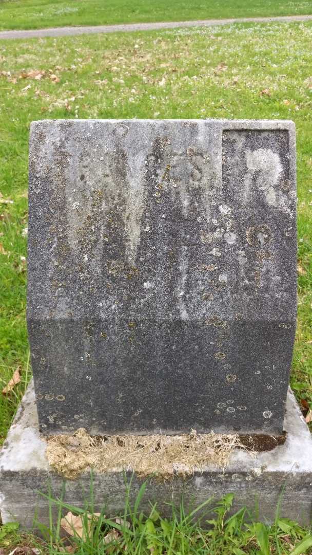 Frances Langemann's grave. Photo 3
