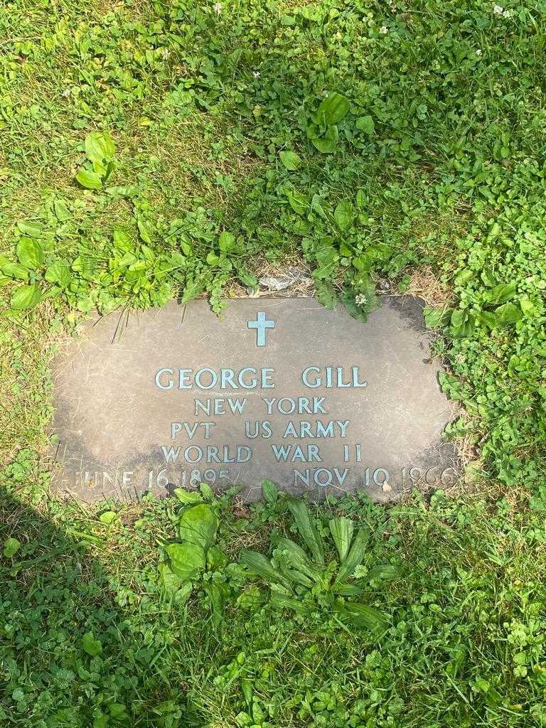 George Gill's grave. Photo 4