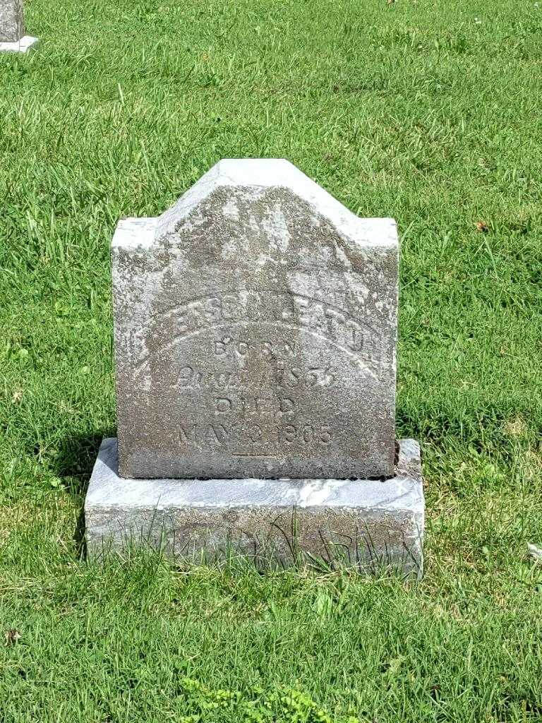 Emerson Eaton's grave. Photo 3
