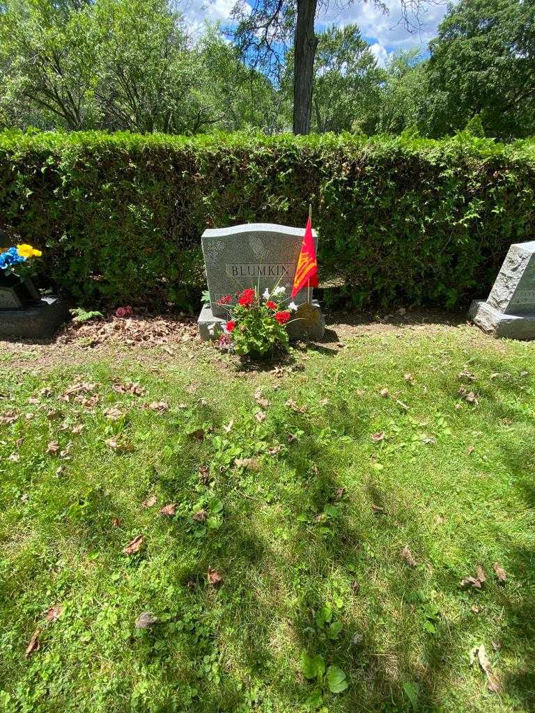 Frances M. Blumkin's grave. Photo 1