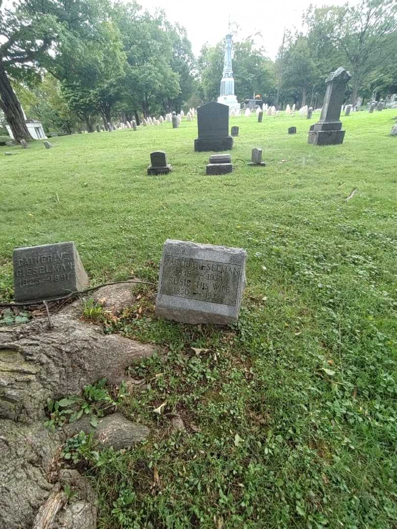 Susie Gieselman's grave. Photo 1