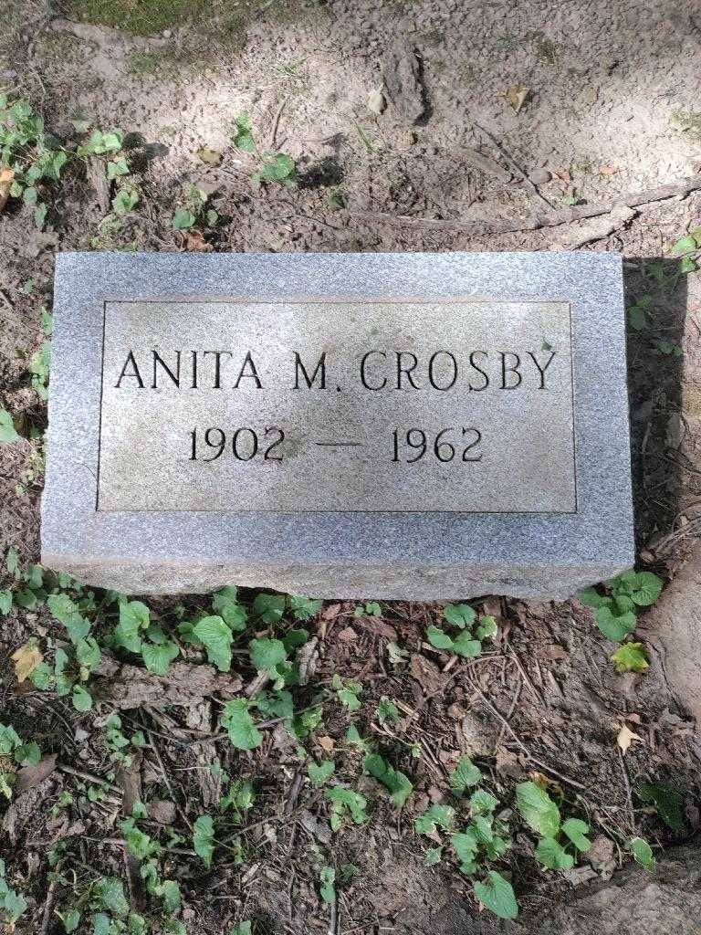 Anita M. Crosby's grave. Photo 3