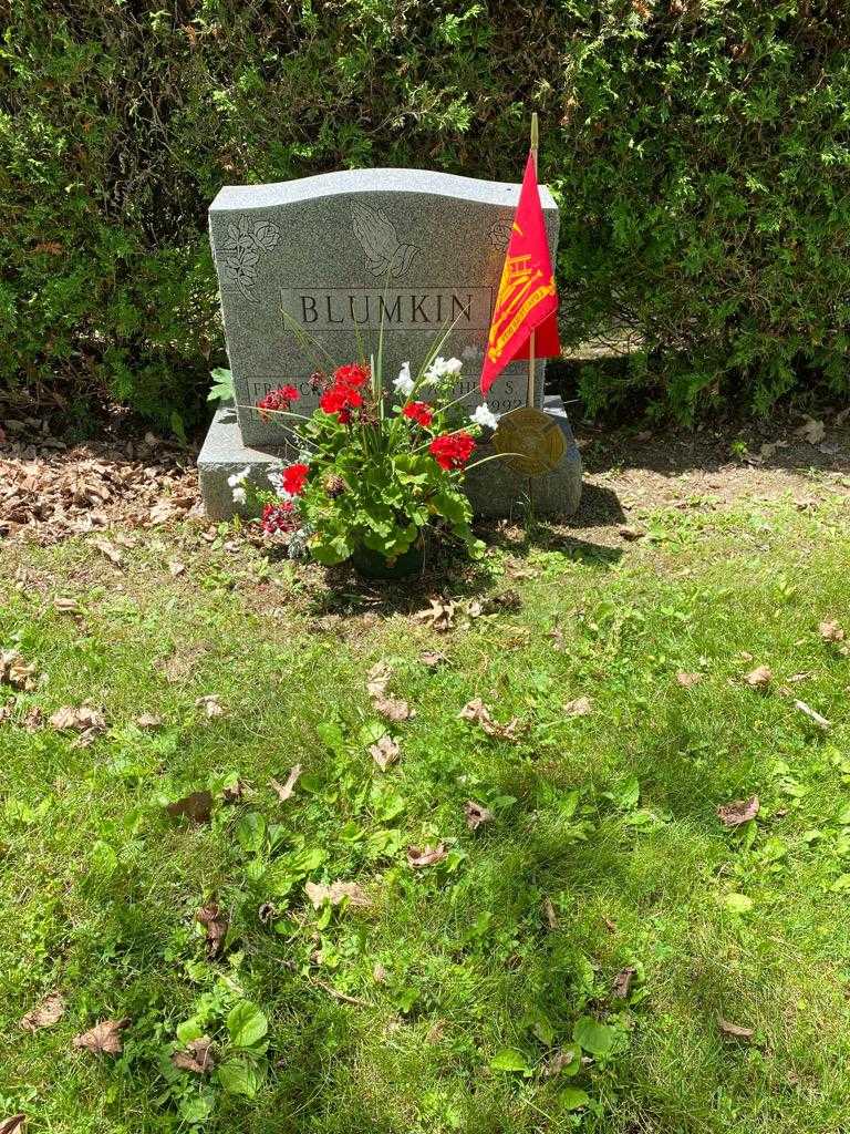 Frances M. Blumkin's grave. Photo 2