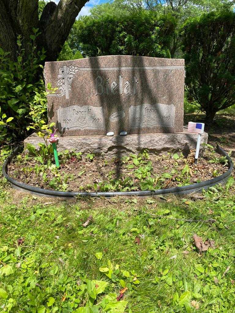 Francis Bielat's grave. Photo 2