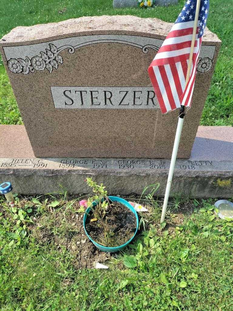 Helen C. Sterzer's grave. Photo 3
