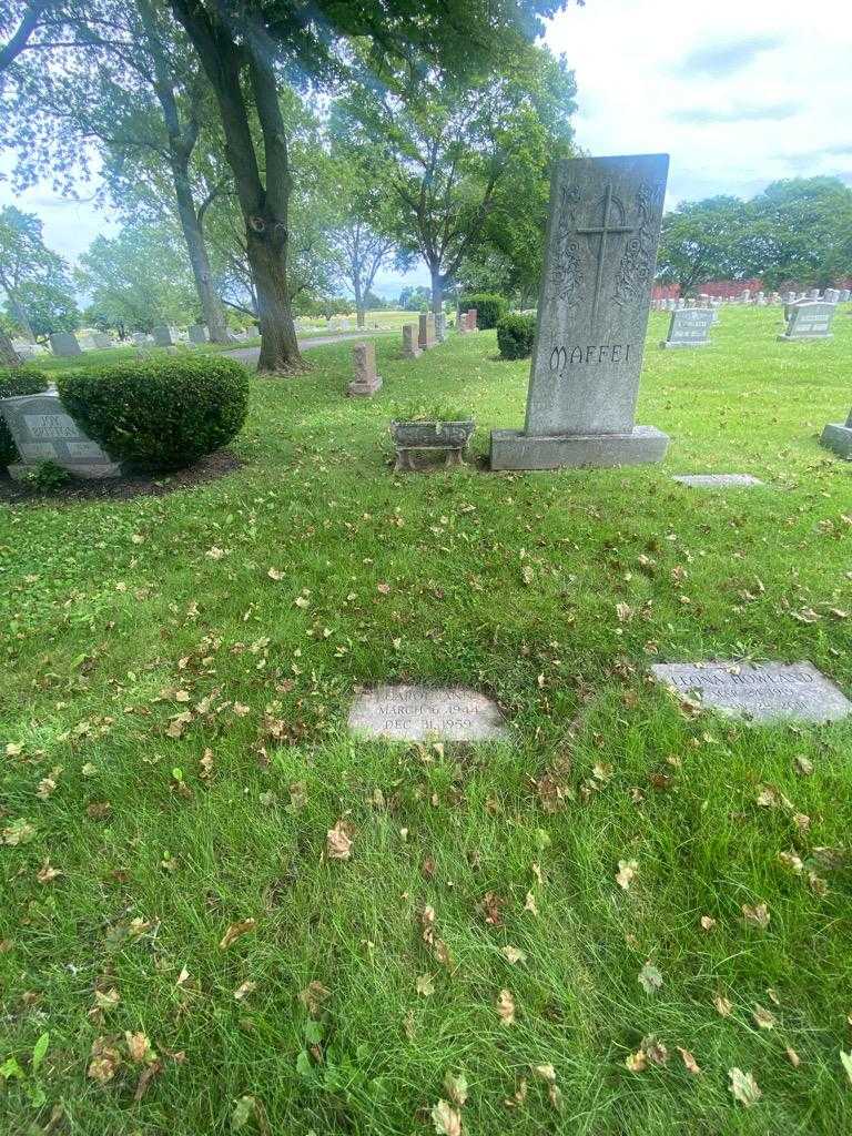 Carol Ann Maffei's grave. Photo 1