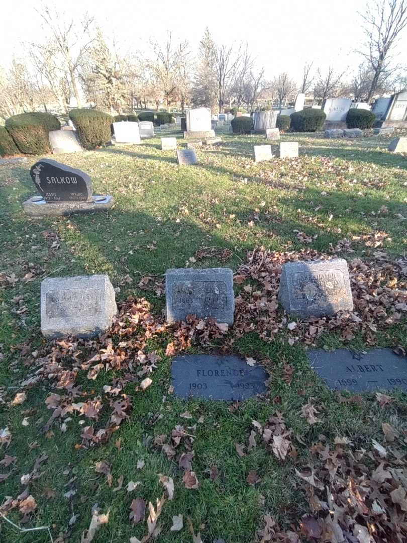 Annie R. Levy's grave. Photo 1