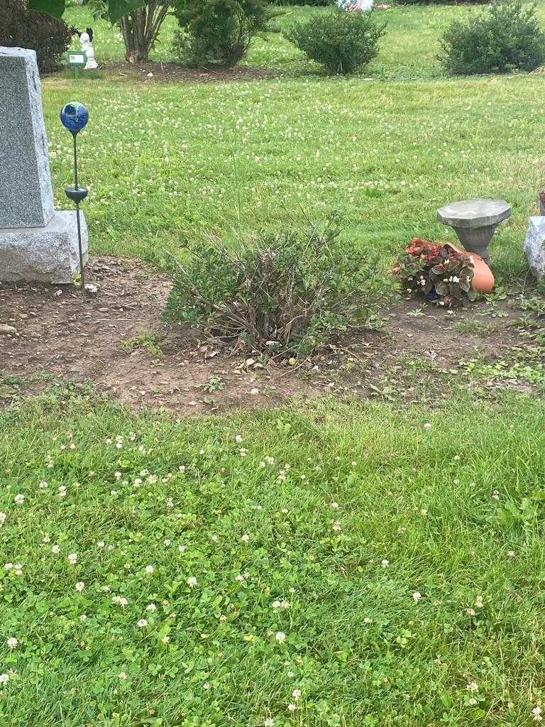 Terrel J. Richardson's grave. Photo 1