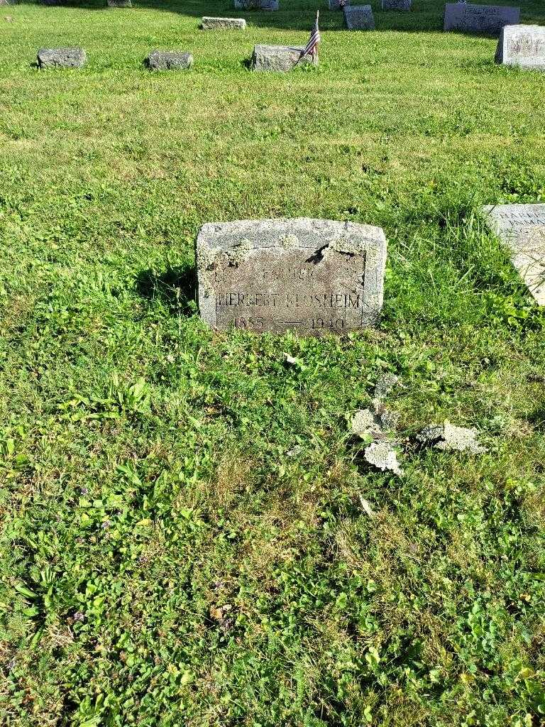 Herbert Klosheim's grave. Photo 1