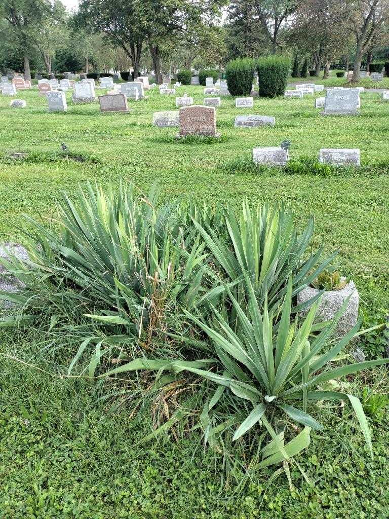 Jean E. Reddick's grave. Photo 1