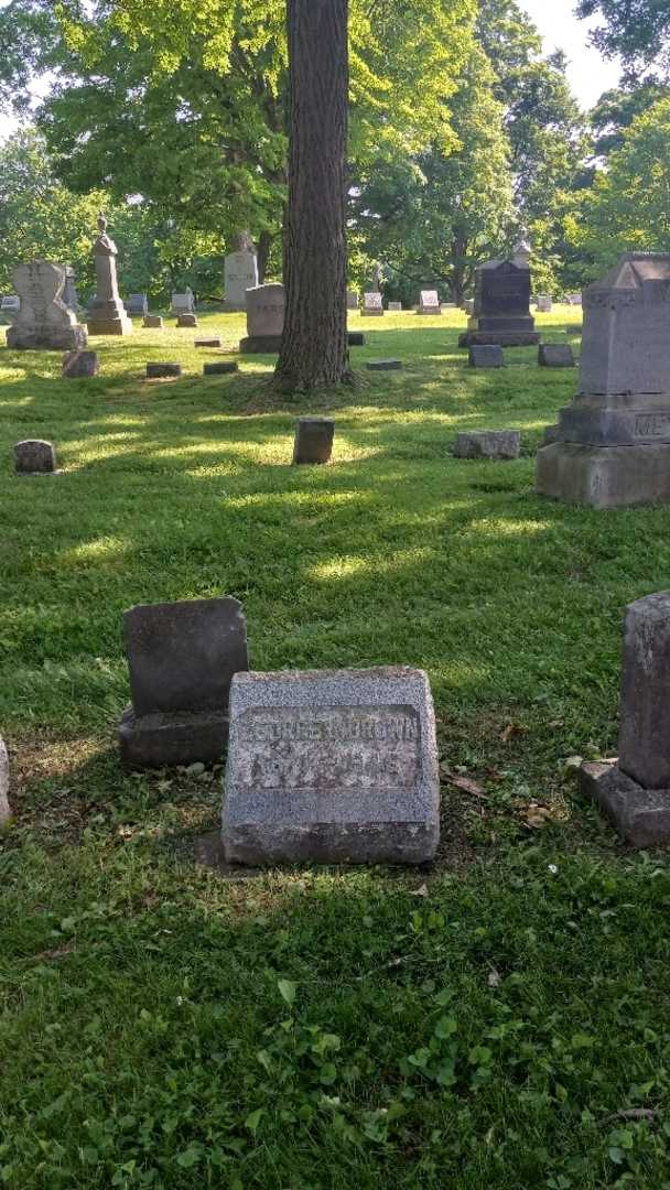 George J. Brown's grave. Photo 2