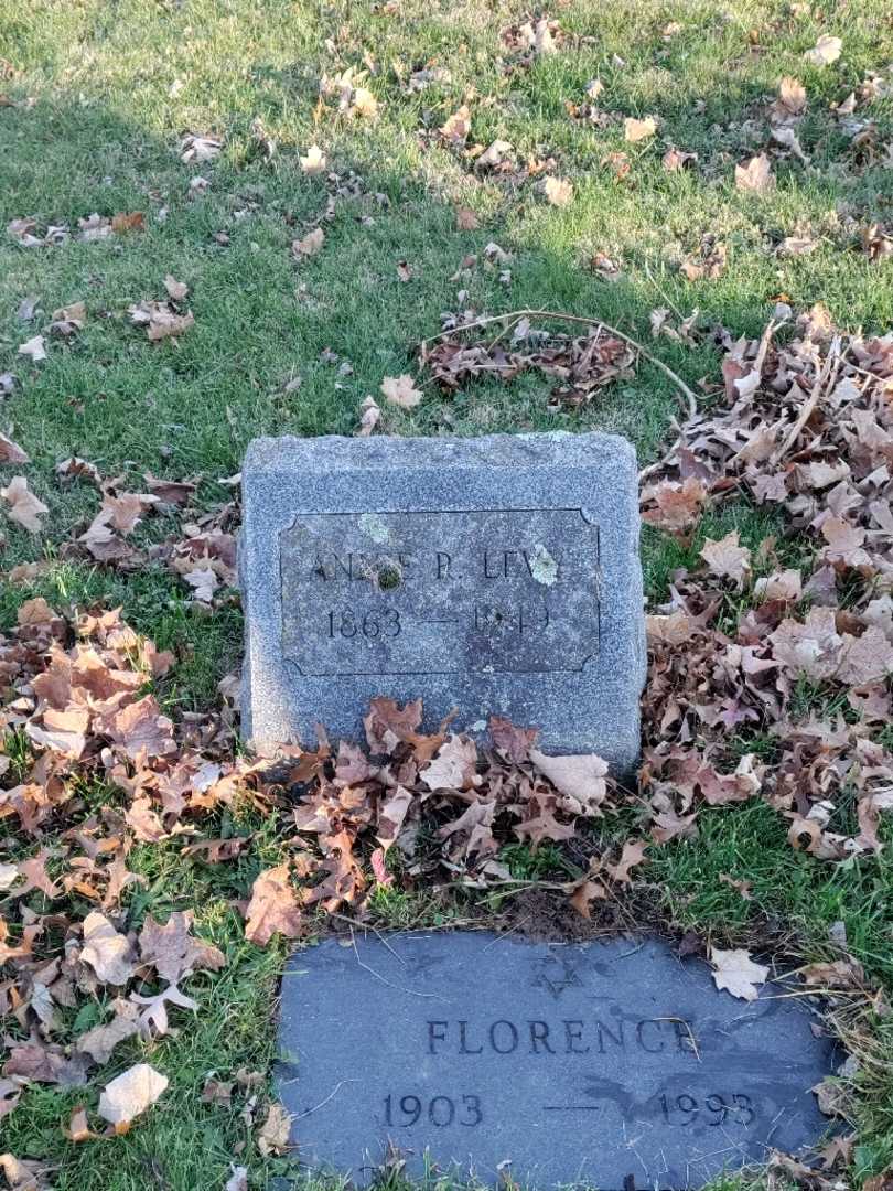 Annie R. Levy's grave. Photo 2