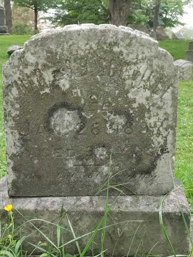 Charles B. Scoville's grave. Photo 3