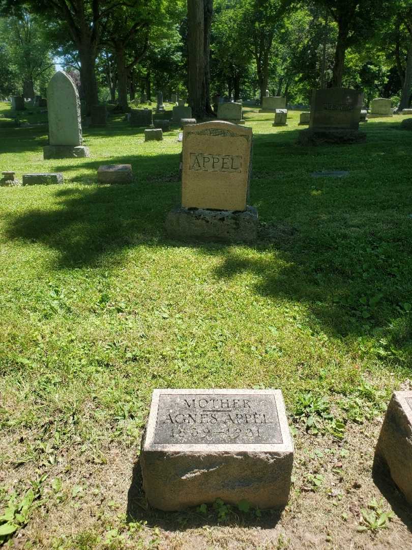 Agnes Appel's grave. Photo 1