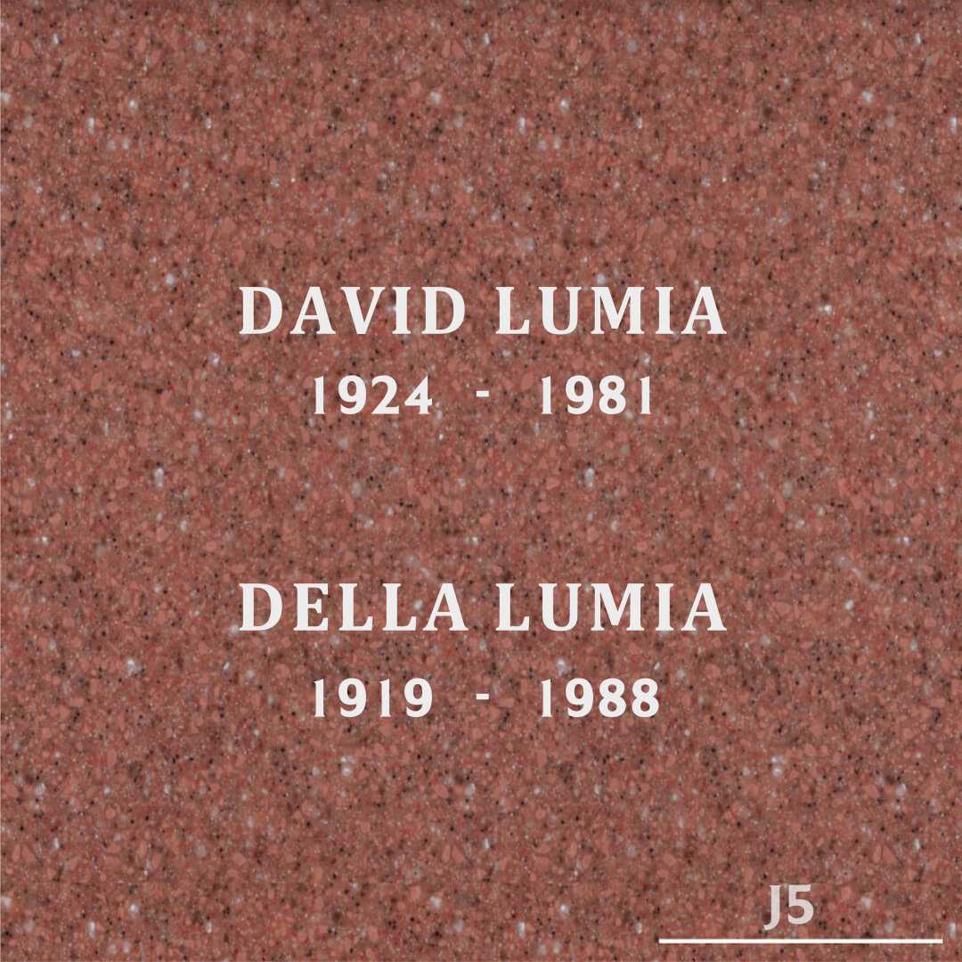 David Lumia's grave