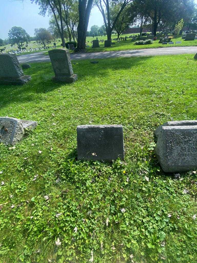 Ray F. Listman's grave. Photo 1