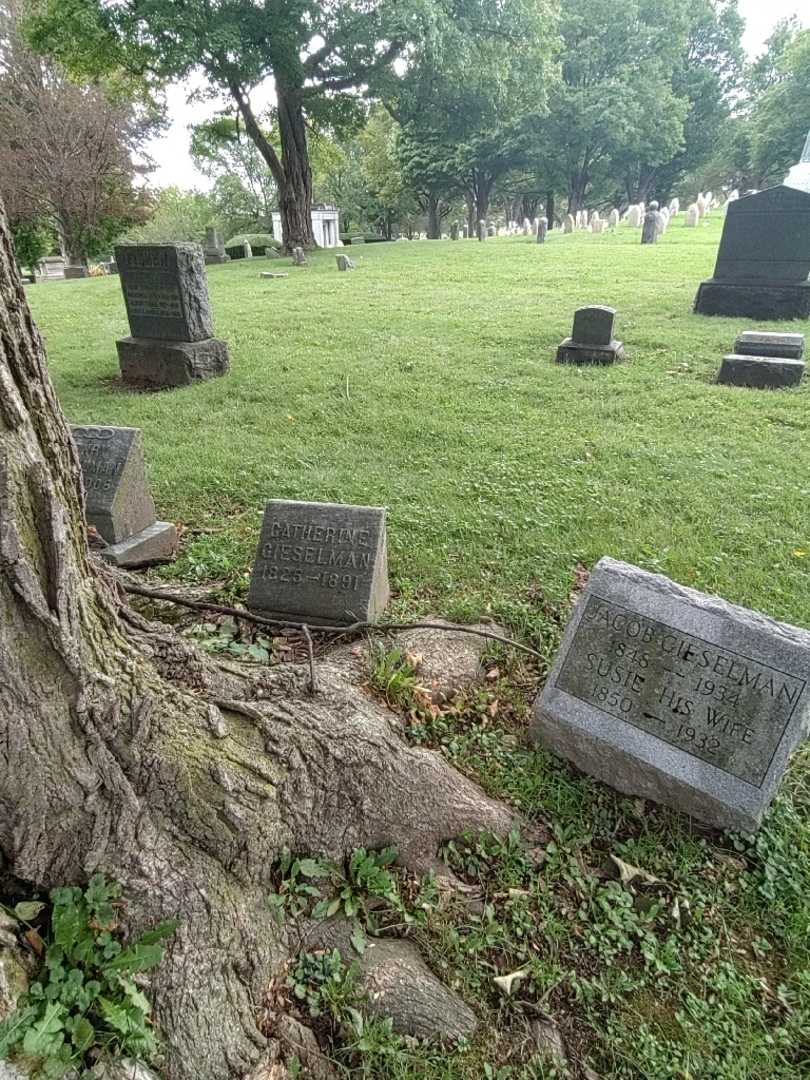 Catherine Gieselman's grave. Photo 1