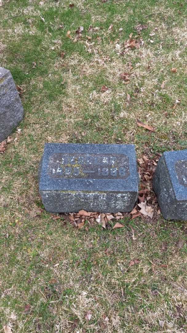 Herbert King's grave. Photo 2