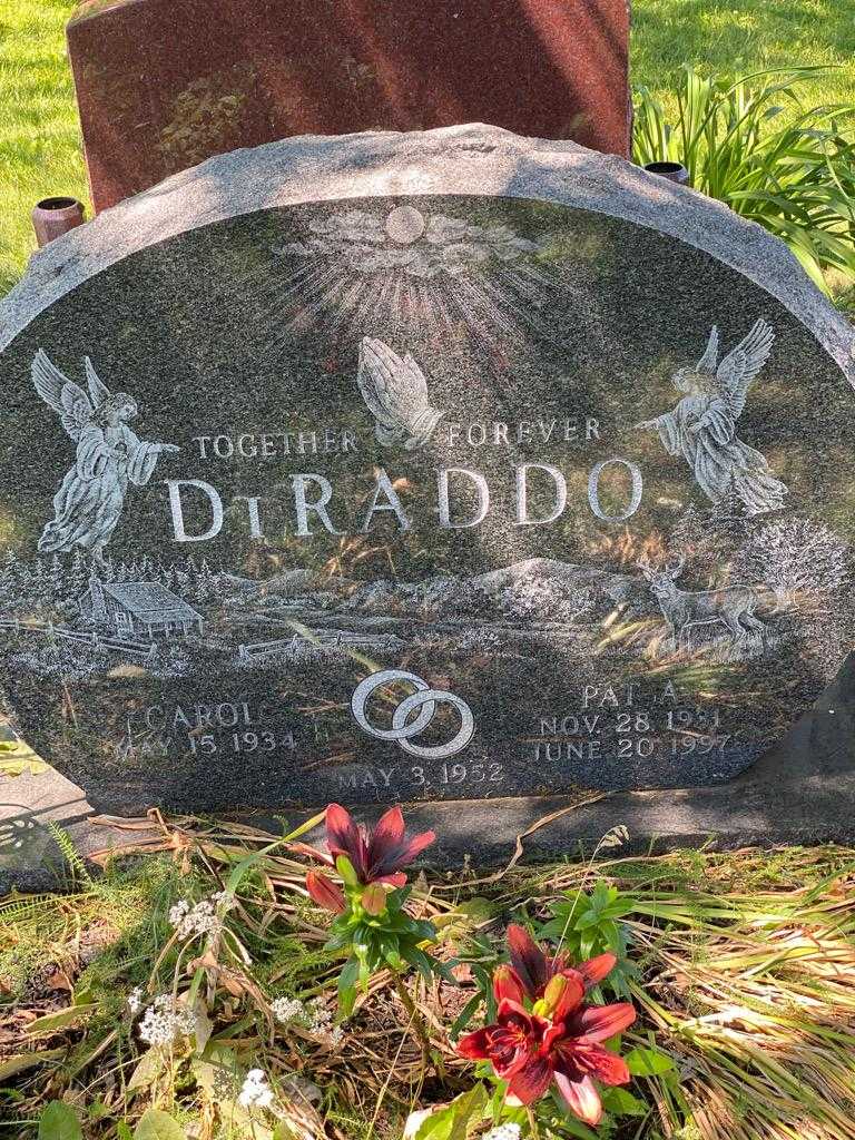Carol DiRaddo Emmi's grave. Photo 1