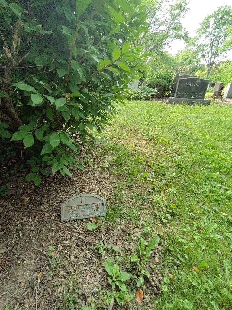 Bernice Olkowski's grave. Photo 1