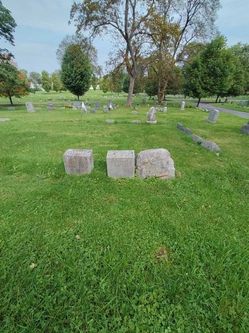 Amalia Schneider's grave. Photo 1