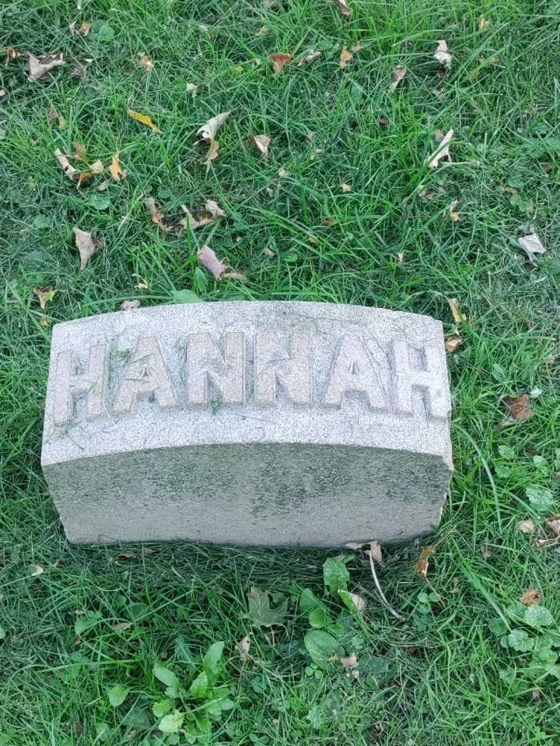 Hannah Elizabeth Will's grave. Photo 4