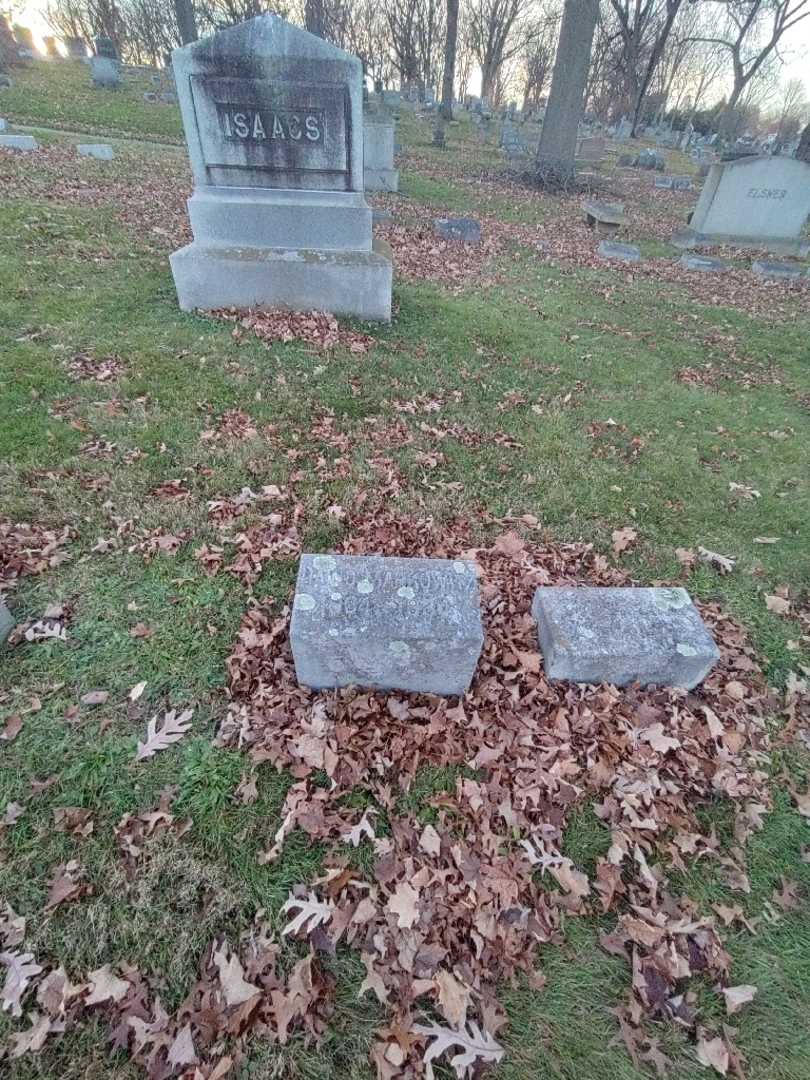David Markowitz's grave. Photo 1