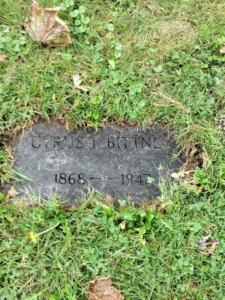 Cyras T. Bittner's grave. Photo 3