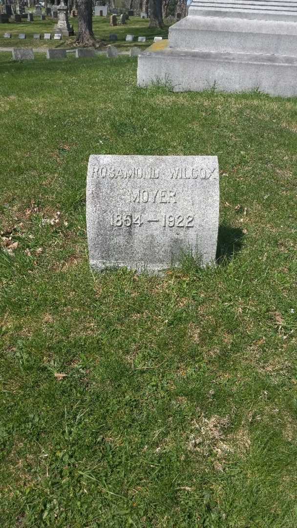 Rosamond Wilcox Moyer's grave. Photo 3