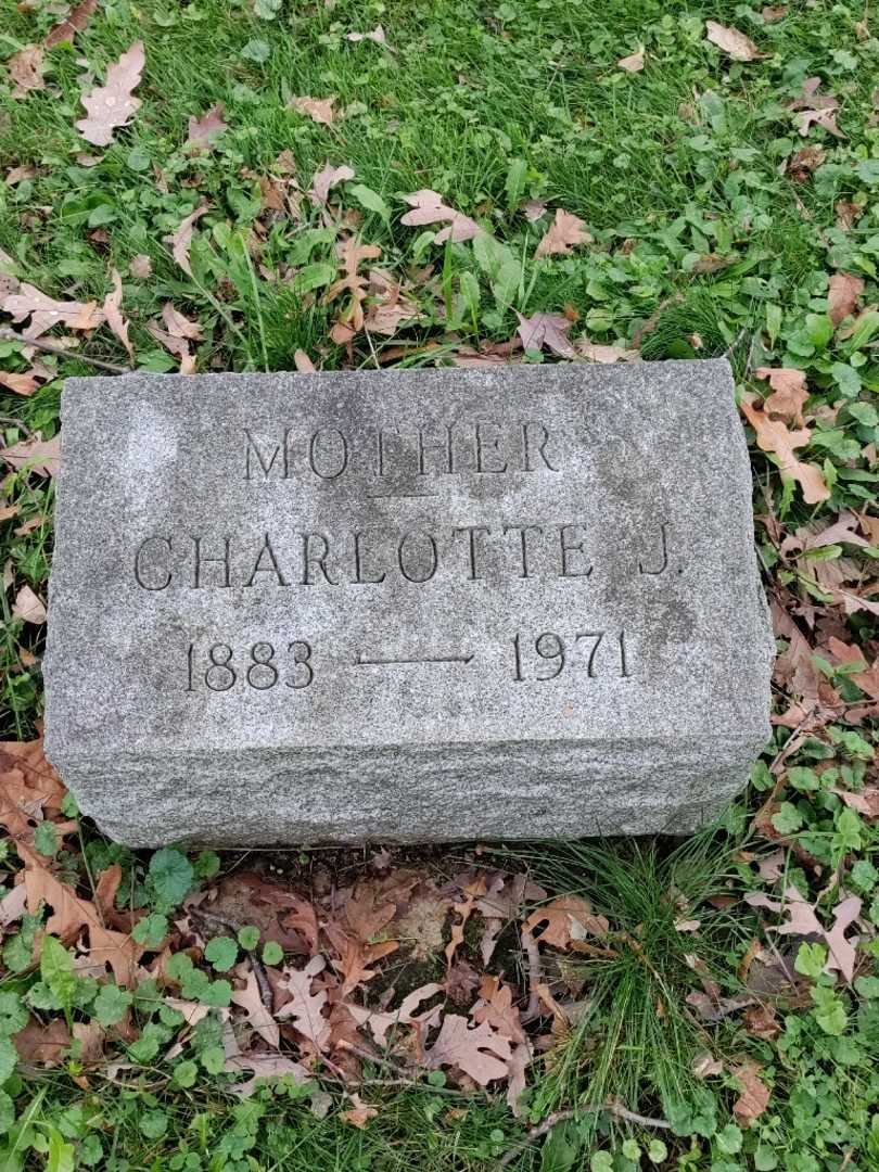 Charlotte J. Schaefer's grave. Photo 3