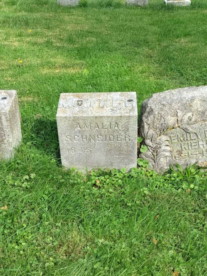 Amalia Schneider's grave. Photo 2