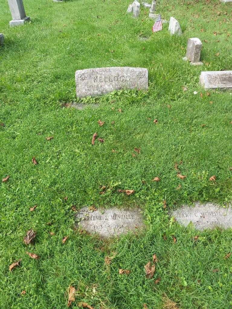 Arlene S. Kellogg Meneilly's grave. Photo 3