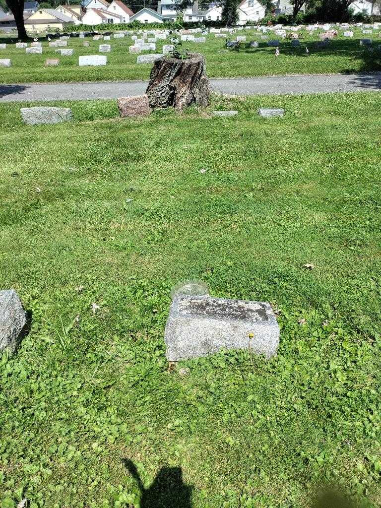 Harry L. Hickok's grave. Photo 1